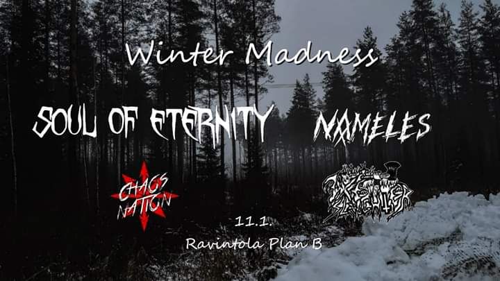 Winter Madness